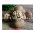 Factory Direct Supply Low Price China Walnut